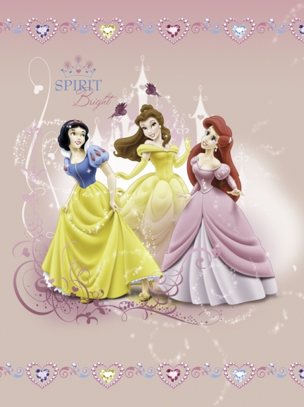картинка Плед флисовый «Принцессы и замок»