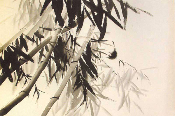 Изображение бамбука